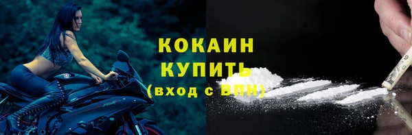 спайс Богданович