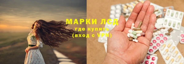 спайс Богданович