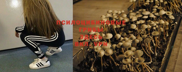 спайс Богданович