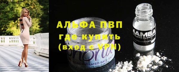 спайс Богданович