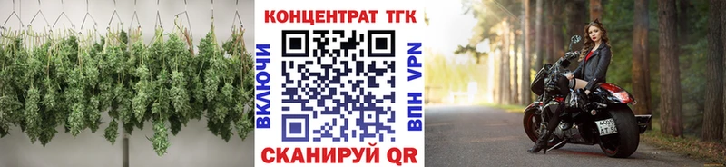 ТГК гашишное масло  Болотное 